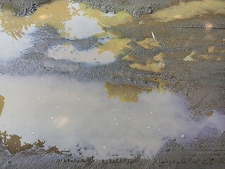 Muddy Puddle with Ripples and Tree Reflections