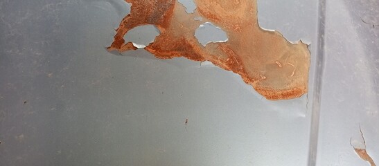 Old Corroded Car Surface with Peeling Paint Texture