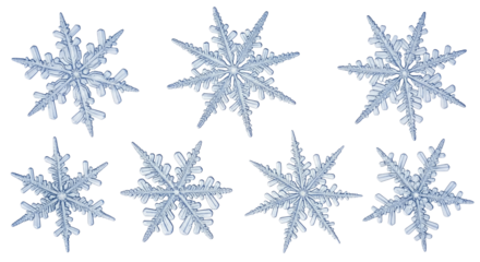 Stunning collection of unique snowflake designs showcasing intricate patterns isolated on transparent background, cutout png