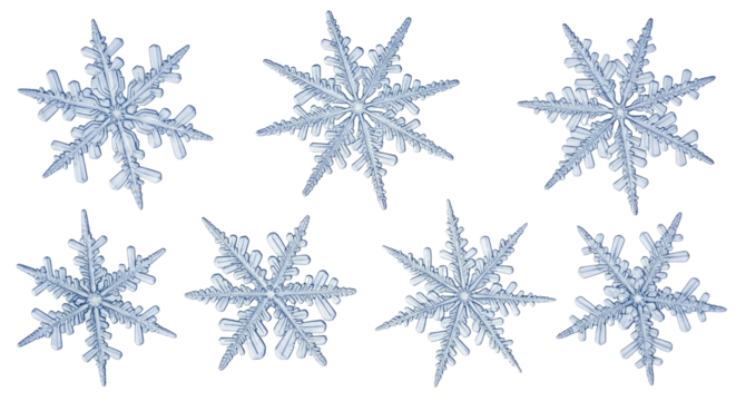 Stunning collection of unique snowflake designs showcasing intricate patterns isolated on transparent background, cutout png