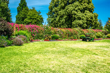 Tacoma Park Flower Row