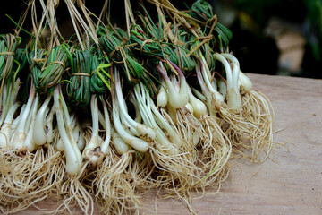 Freshly Harvested Wild Onions Bundled on Wooden Surface