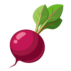 Gourmet Beet with Roots and Leaves on Transparent Background