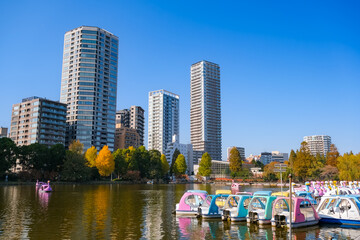 東京都 紅葉の上野公園、不忍池