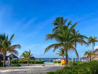 Cancun landscape, tropical beach with palm trees