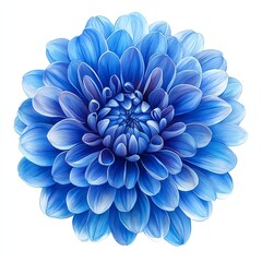 Close-up of a vibrant blue dahlia flower with detailed petals showcasing gradient shades from light to dark blue.