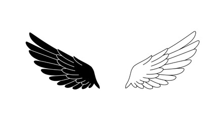 Divine Balance: An abstract representation of two wings, one dark and one light, symbolizing duality, balance, and the interplay of opposing forces.