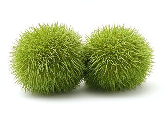 Two spiky spheres resembling natural objects or microorganisms.