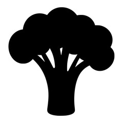 Silhouette of fresh broccoli
