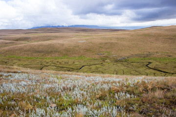 A meandering river surrounded by Oxbow lakes, both filled with water and others infilled with...