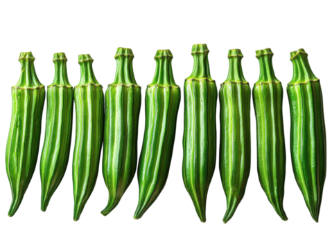 A row of green vegetables, including green beans