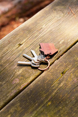 Bunch of keys thrown on wooden antique table with house shaped keychain