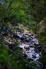 Late Afternoon golden and blues of the Golden Gate Highland National Park reflecting on a small forest stream.