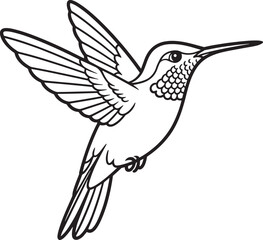 Black and white hummingbird in flight with detailed wings and plumage flying feathers