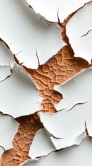 Cracked earth texture with peeling paint and dry surface details