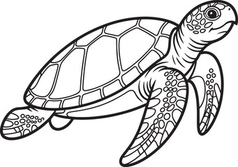Sea turtle swimming underwater with detailed shell pattern ocean animal
