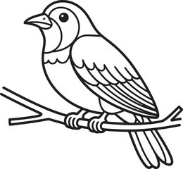 Small bird perched on a branch sitting avian