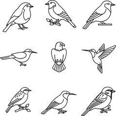 Obraz premium Collection of minimalist line art bird icons, featuring diverse species like robins, sparrows, eagles, and hummingbirds, ideal for nature, wildlife, and avian-themed designs
