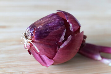 peau d'oignon rouge