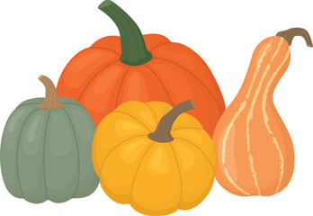 Composition of different pumpkins isolated on white background. Hand drawn illustration with bright ripe vegetables