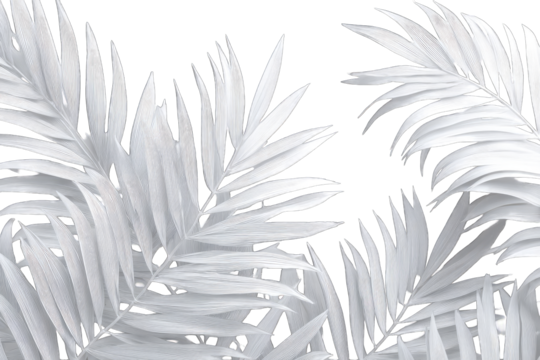 Abstract monochrome palm leaves