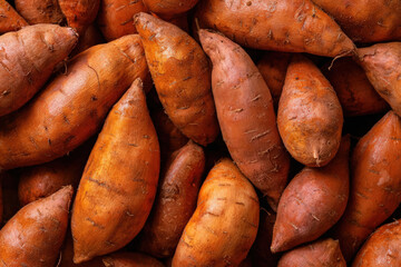 A pile of fresh sweet potatoes are ready for harvest
