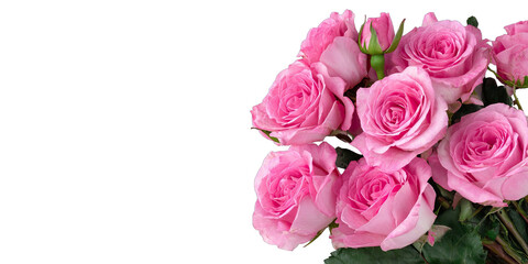 Pink rose bouquet close-up