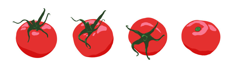 Tomatoes with stem hand drawn set vector illustration. Ripe vegetables drawing collection. Design for print, poster, menu, packaging.
