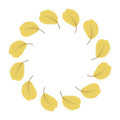Yellow adler leaves circle frame. Round border of autumn leaves isolated on white background. Template for poster, postcard.
