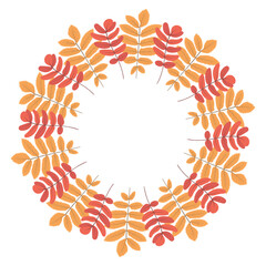 Yellow and red rowan circle frame. Round border of autumn leaves isolated on white background. Template for poster, postcard.