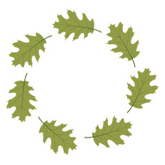 Green oak leaf circle frame. Round border isolated on white background. Template for poster, postcard.