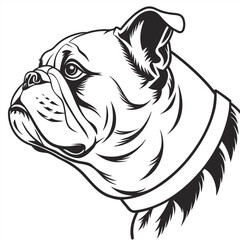 Black and White Bulldog Head Illustration Line Art