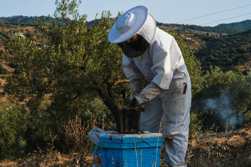 Beekeeper extracting honeycombs from beehive in olive grove