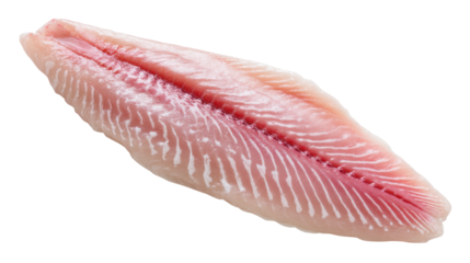 Fresh raw fish fillet isolated on transparent background for healthy diet food