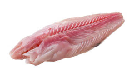 Fresh raw fish fillet seafood isolated on transparent background