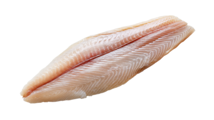 Fresh raw fish fillet isolated on transparent background for healthy cooking