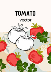 Tomato label or food pack sticker design, hand drawn vector illustration. Design for food, sauces and snacks made of tomato.