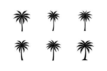 minimalist single palm tree vector illustration