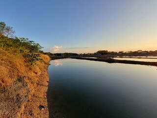 Golden sunlight reflecting on calm water beside a grassy embankment in a peaceful rural area