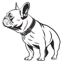 Fototapeta premium Black and White French Bulldog Illustration Standing Profile