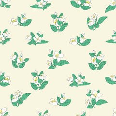Seamless vector pattern with jasmine flowers and green leaves. Floral background illustration.