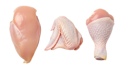 Isolated Chicken Parts