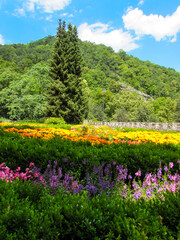 Beautiful floral landscape with trees and colorful flowers, with a small hill in the background, Lillafüred, Hungary