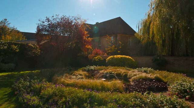 Autumnal garden landscape sunny day house trees shrubs plants flowers pond vibrant colors peaceful scene natural beauty outdoor setting backyard foliage