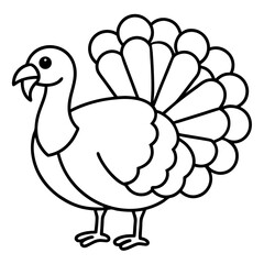Elegant Turkey Line Drawing