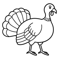 Elegant Turkey Line Drawing
