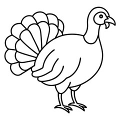 Elegant Turkey Line Drawing