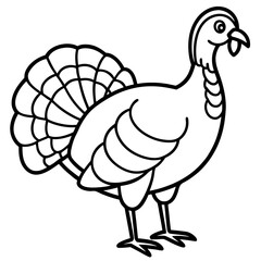 Elegant Turkey Line Drawing