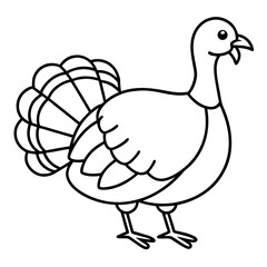 Elegant Turkey Line Drawing