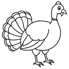 Elegant Turkey Line Drawing
